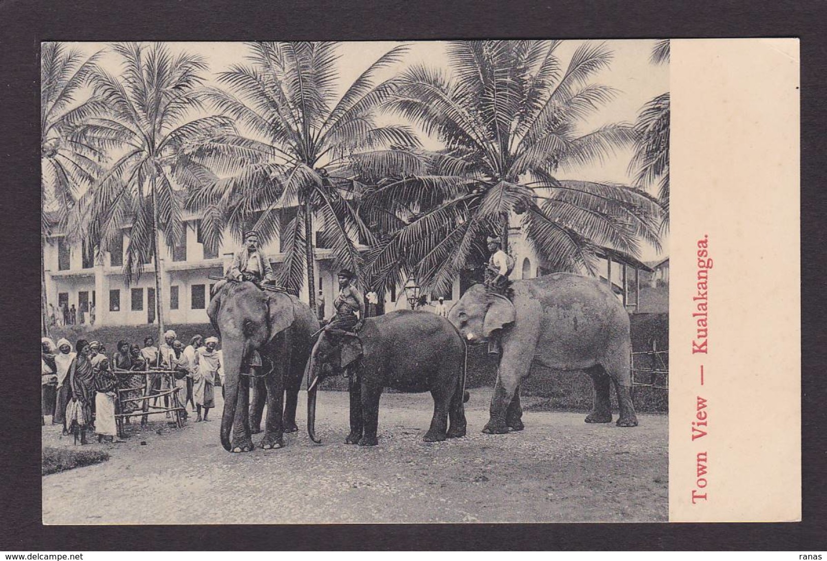 CPA Singapoure Singapore Non Circulé éléphant - Singapour