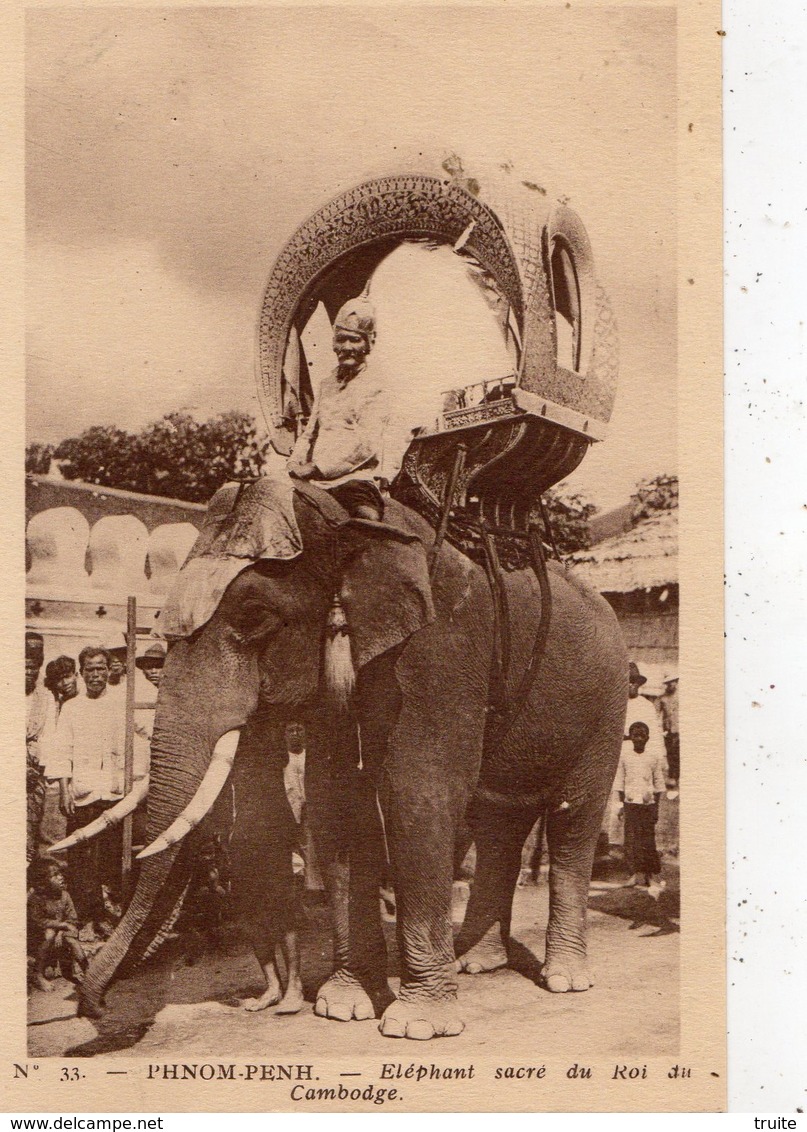 CAMBODGE PHNOM-PENH  ELEPHANT SACRE DU ROI DU CAMBODGE - Cambodge