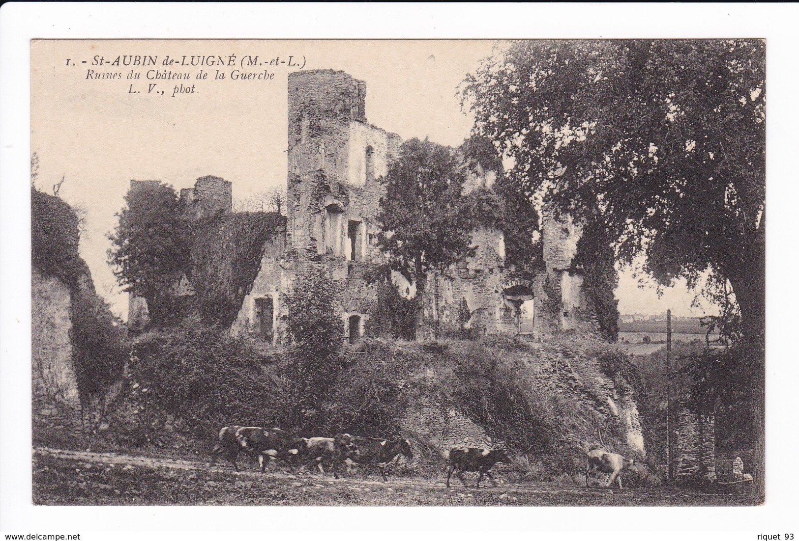 1 - St-AUBIN-de-LUIGNE - Ruines Du Château De La Guerche - Andere & Zonder Classificatie