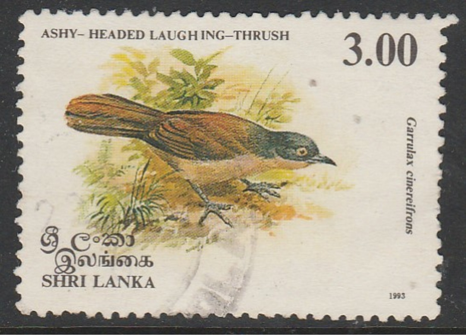 Sri Lanka Ceylon 1993 Birds 3.00R Multicoloured SW 610 O Used - Sri Lanka (Ceylon) (1948-...)