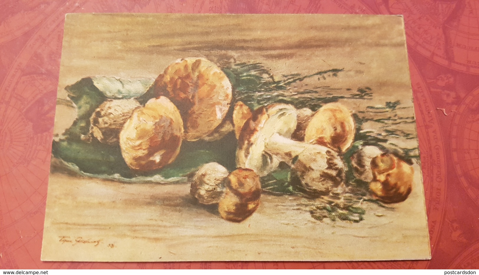 Yakovlev "Mushrooms" - OLD PC 1956  - Mushroom - Champignon - Paddestoelen