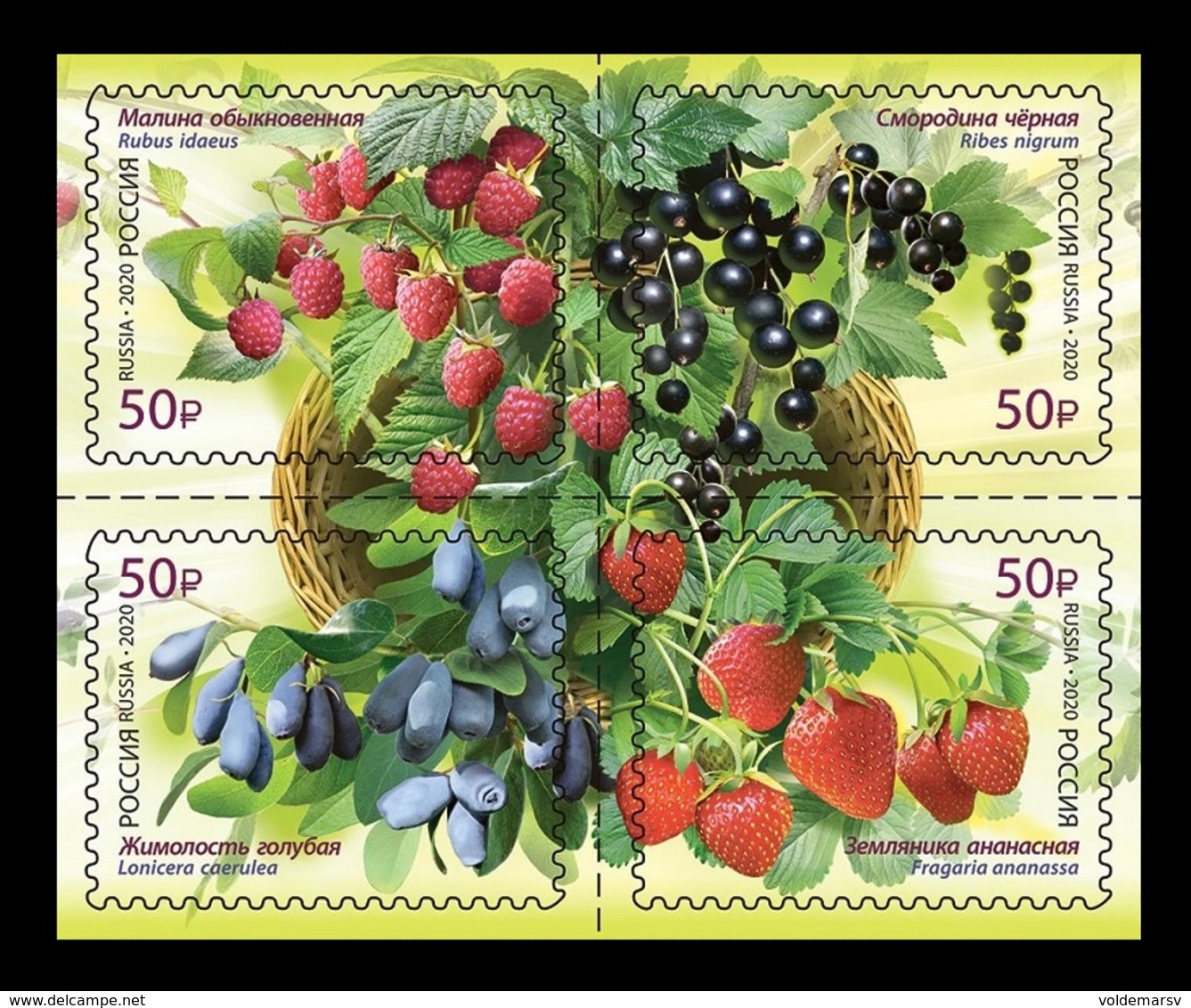 Russia 2020 Mih. 2807/10 Flora Of Russia. Berries MNH ** - Unused Stamps