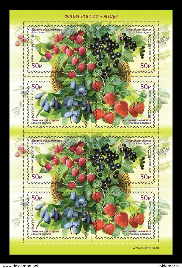 Russia 2020 Mih. 2807/10 Flora Of Russia. Berries (M/S) MNH ** - Unused Stamps