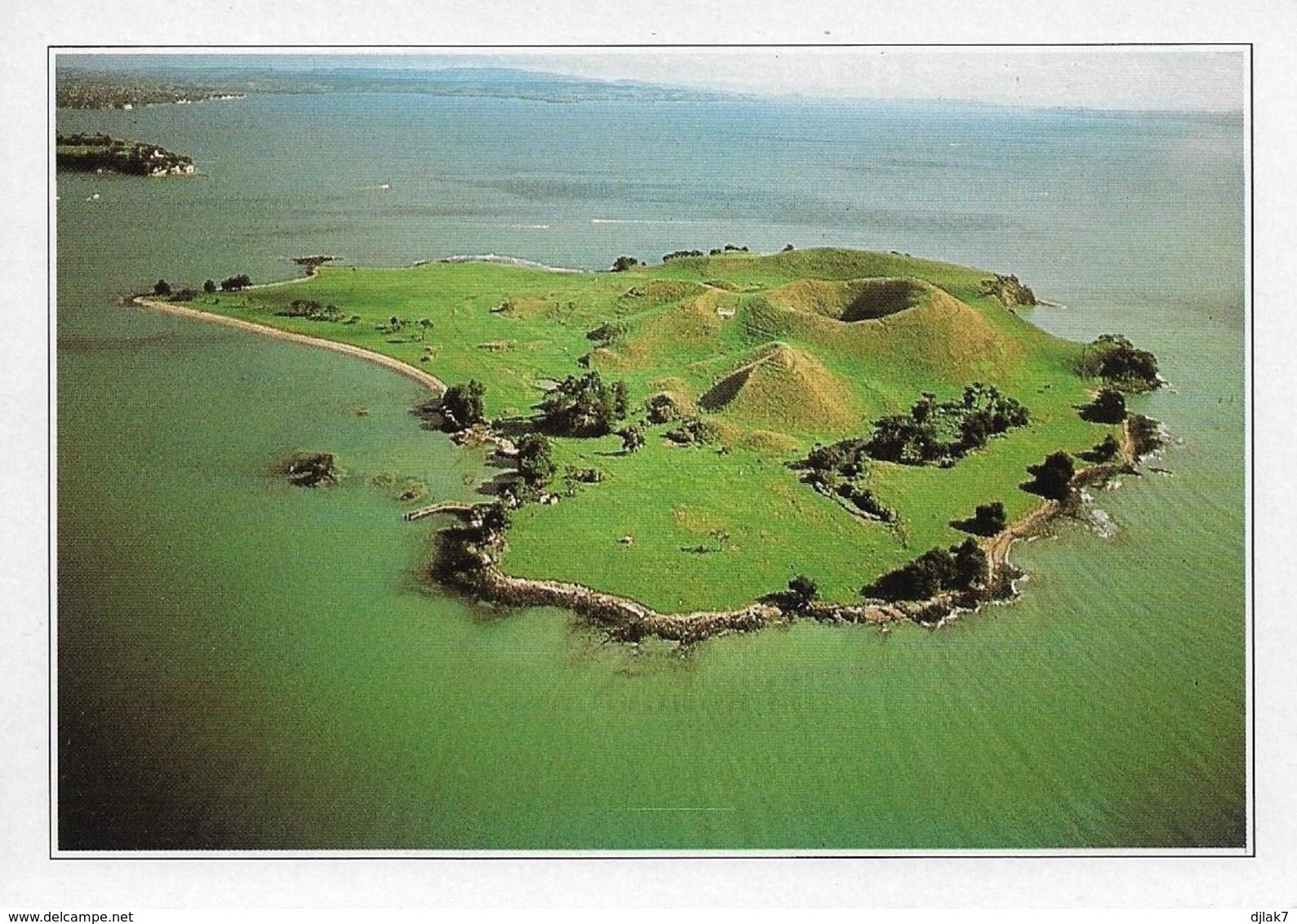 Nouvelle Zélande Auckland  (2 Scans) - Nouvelle-Zélande