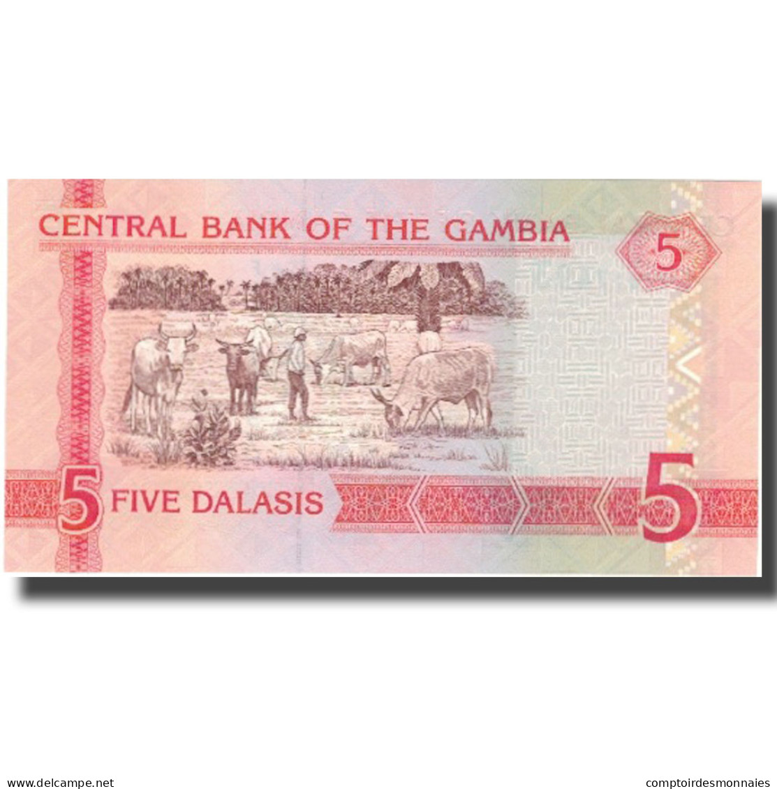 Billet, The Gambia, 5 Dalasis, Undated (2001), KM:20c, SPL+ - Gambie