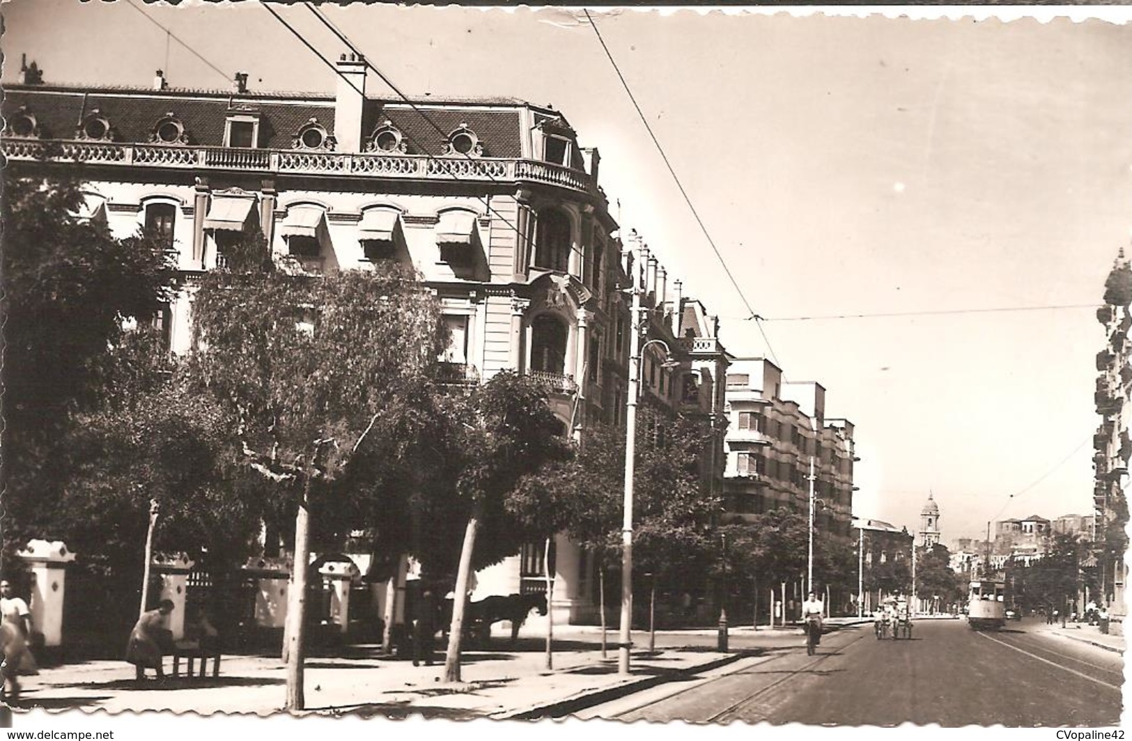 MALAGA (Andalucia) Paseo De Reding En 1955  CPSM  PF - Málaga