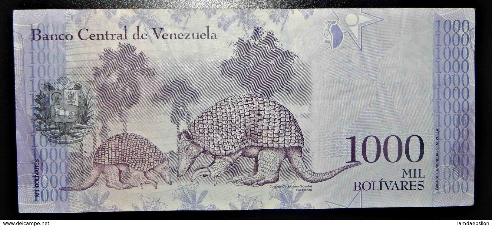 A1 BILLETS DU MONDE WORLD BANKNOTES VENEZUELA 1000 BOLIVARES - Other & Unclassified