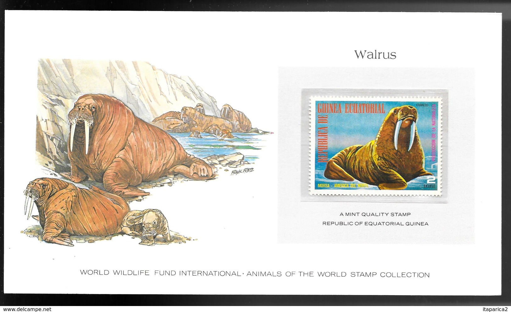 GUINEE EQUATORIALE 1977 SUPERBE CARTE COLECTION WWF WARLUS  MORSE Avec Timbre N° 108-D Neuf **sans Charnière / MA06 - Guinée Equatoriale