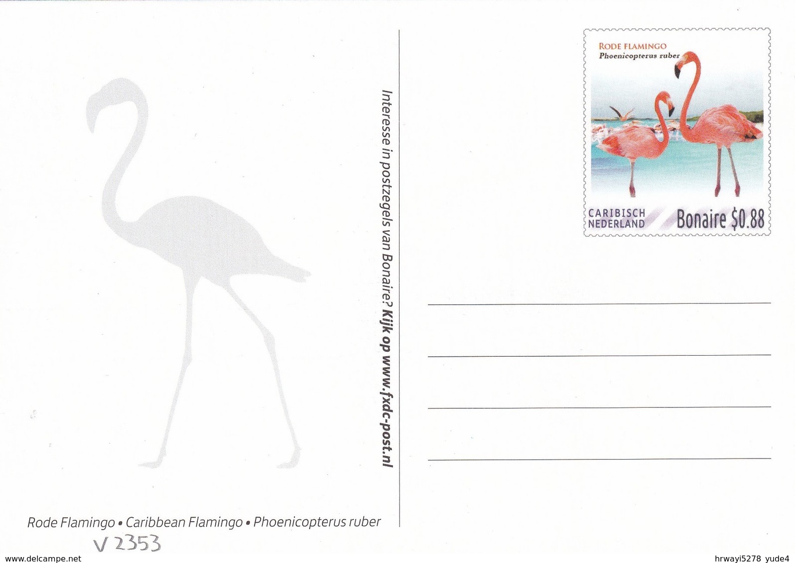Postcard Dutch Caribic With Birds, Flamingos, Unused - Pájaros