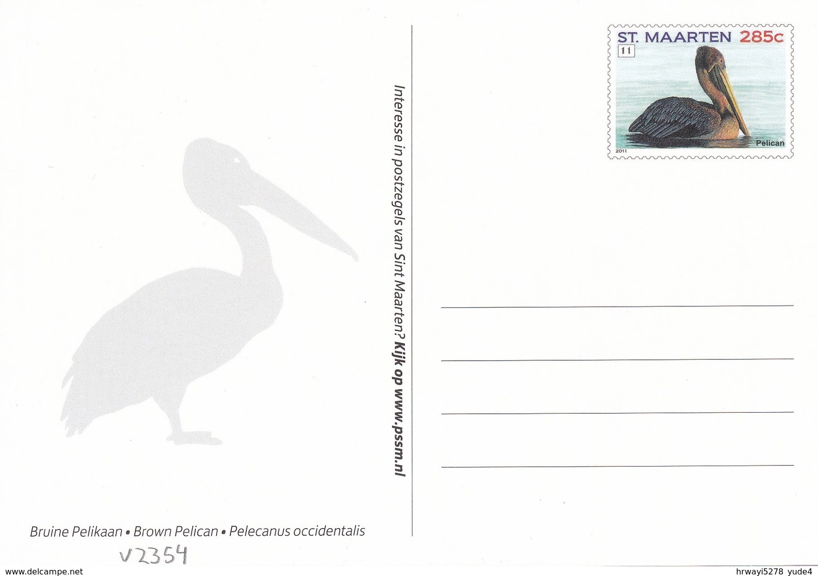 Postcard Dutch St. Maarten With Birds, Pelican, Unused - Uccelli