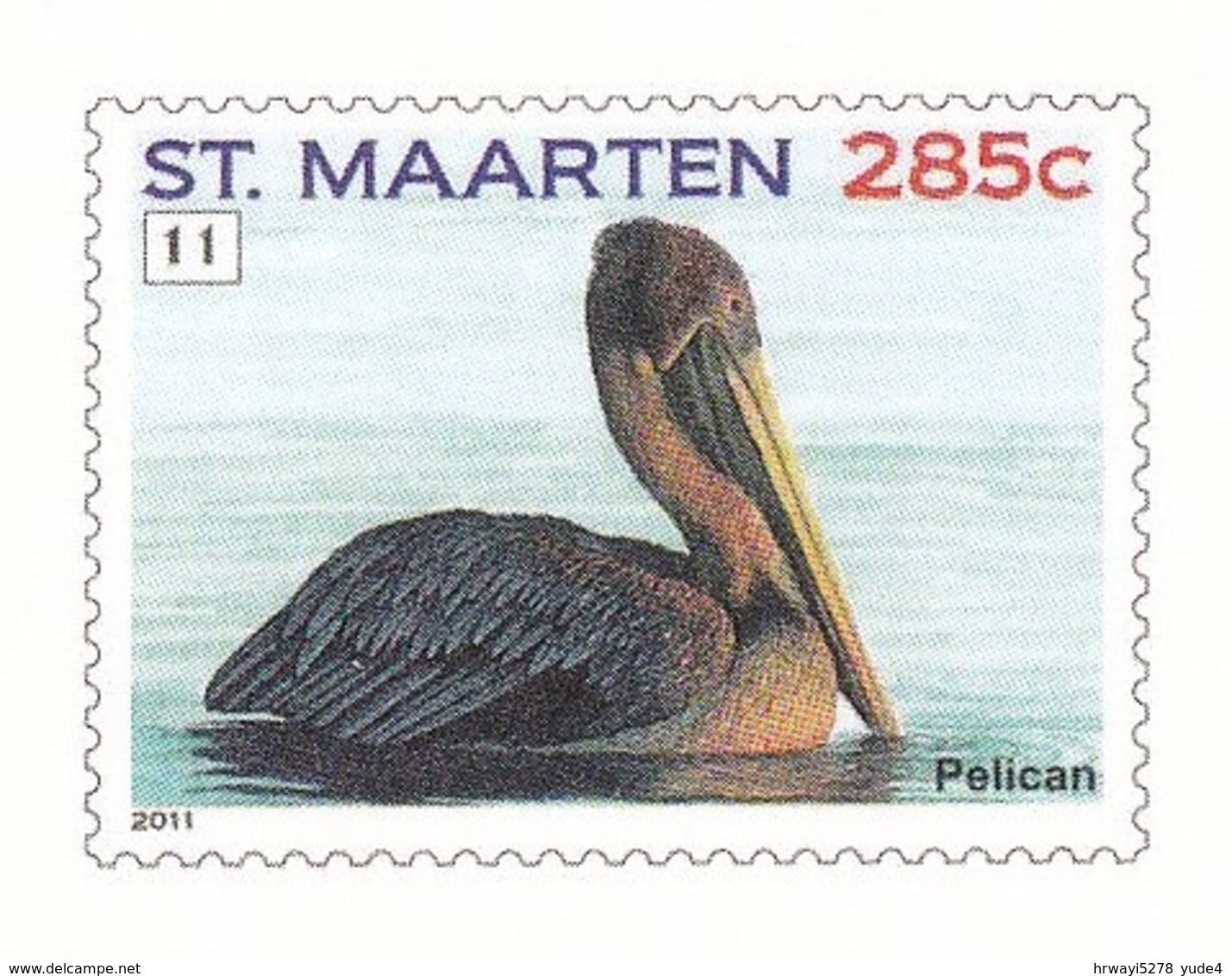 Postcard Dutch St. Maarten With Birds, Pelican, Unused - Oiseaux