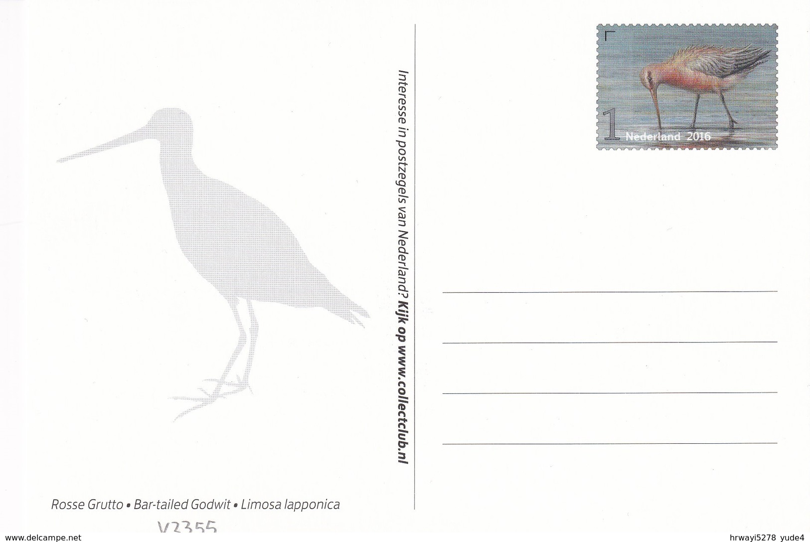 Postcard Netherlands With Bird, Unused - Oiseaux