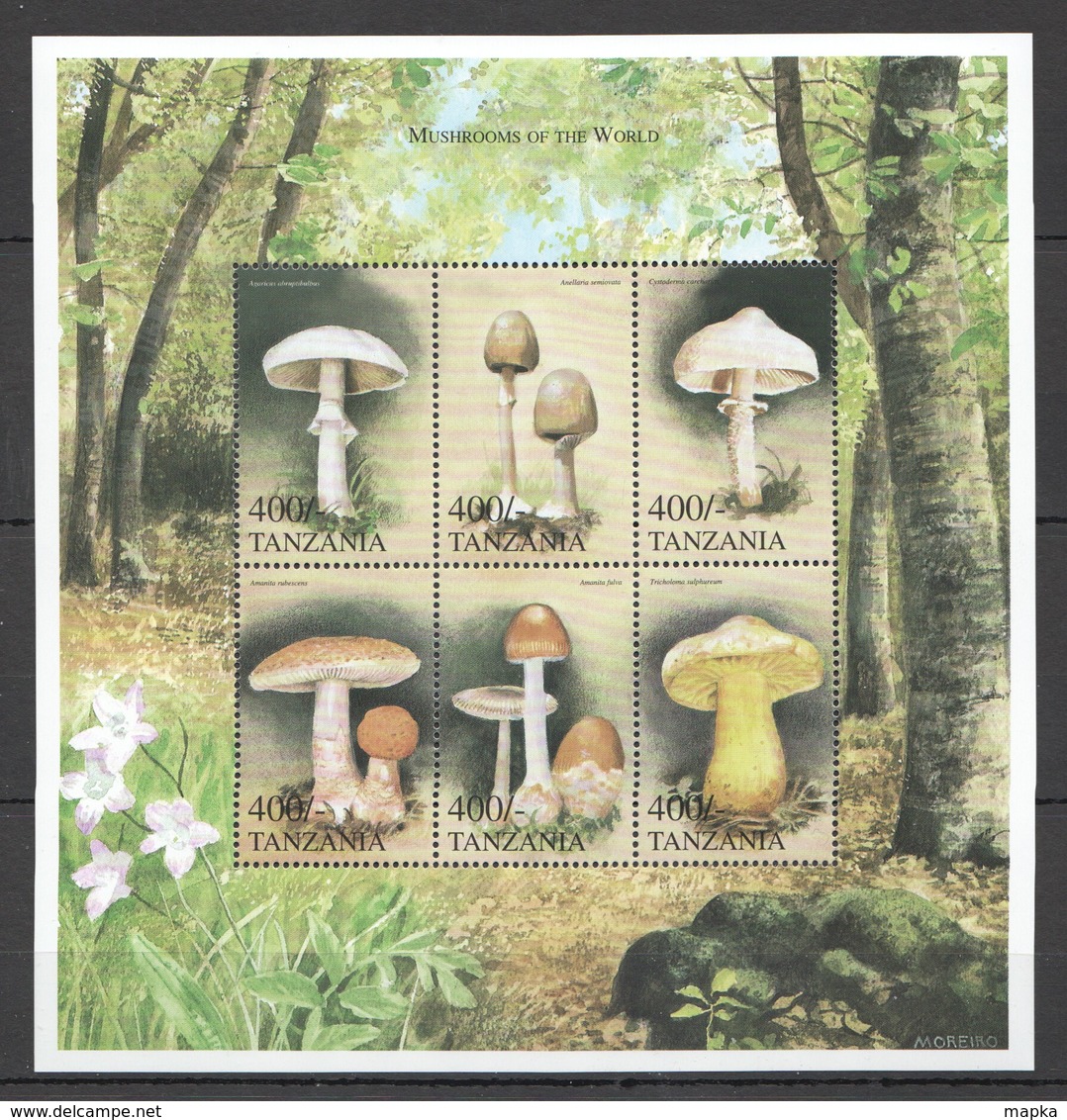 PK274 TANZANIA FLORA NATURE MUSHROOMS OF THE WORLD 1KB MNH - Hongos