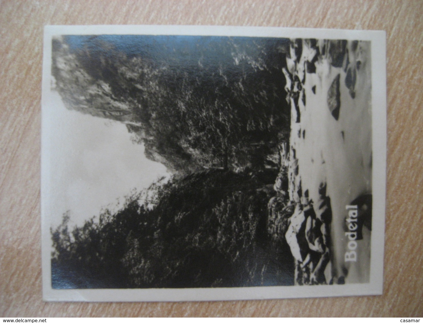 BODETAL Teufelsbrucke Bilder Card Photo Photography (4x5,2cm) Harz Mountains GERMANY 30s Tobacco - Non Classificati