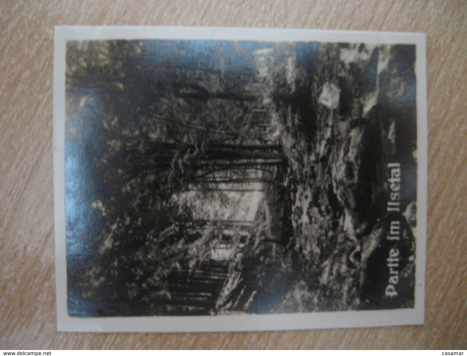 ILSENBURG Partie Im ILSETAL Bilder Card Photo Photography (4x5,2cm) Harz Mountains GERMANY 30s Tobacco - Non Classificati