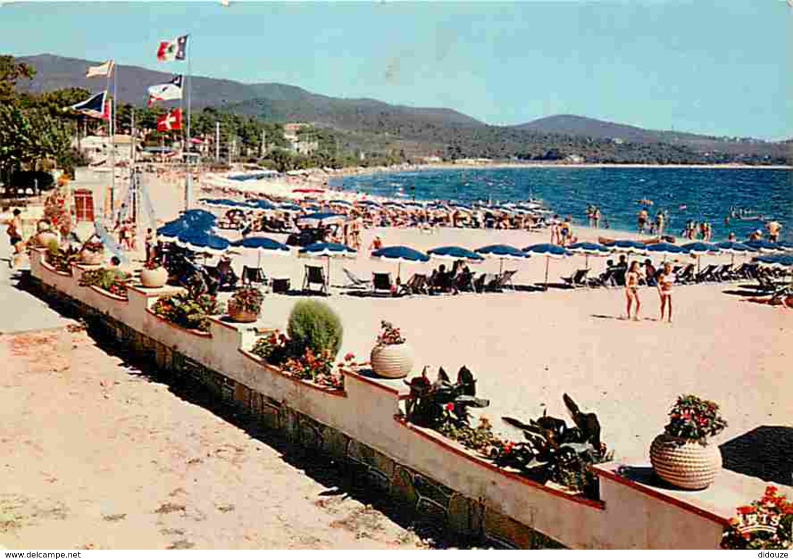 83 - Cavalaire Sur Mer - La Plage - Voir Scans Recto-Verso - Cavalaire-sur-Mer