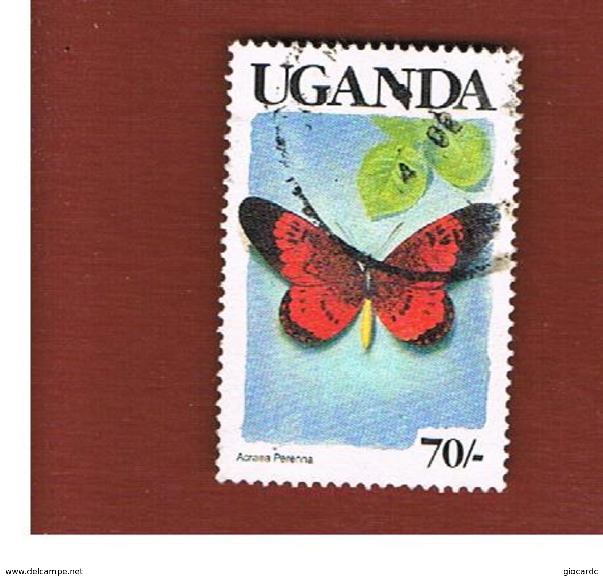 UGANDA   - SG 751   -  1989  BUTTERFLIES: ACRAEA PERENNA (UGANDA  BLACK)     - USED ° - Uganda (1962-...)