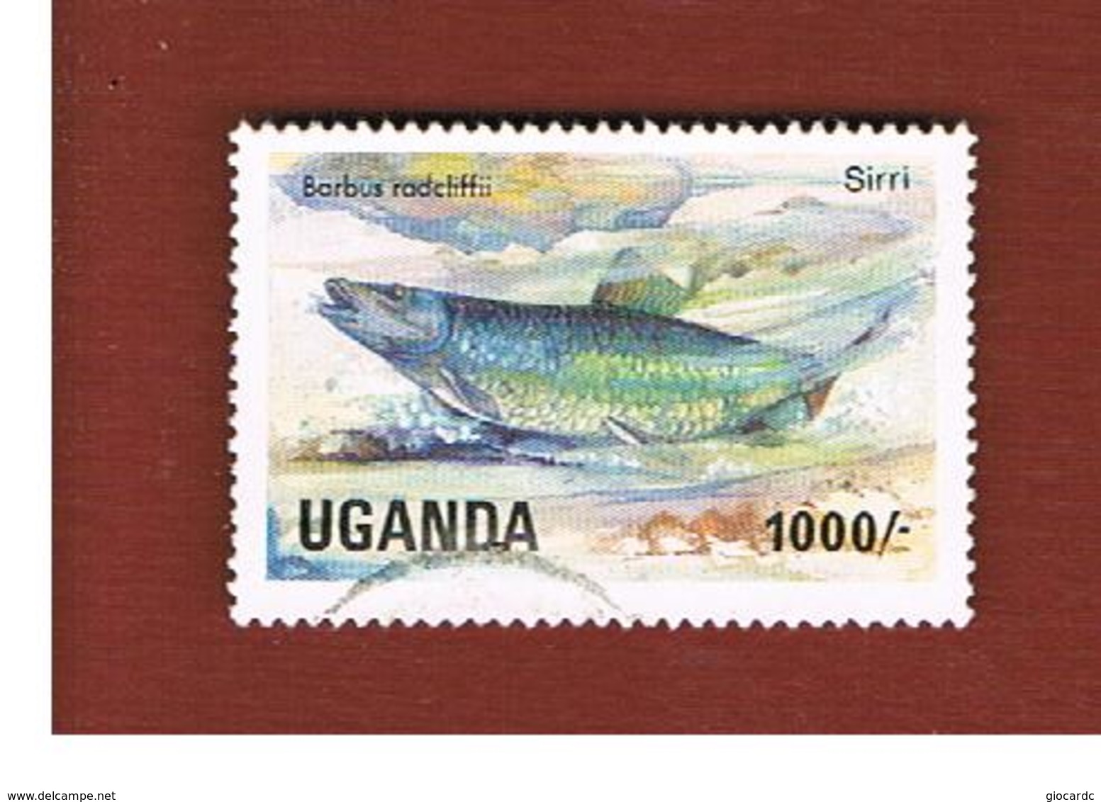 UGANDA   - SG 466   -  1985 LAKE FISHES: RADCLIFFE BARB      - USED ° - Uganda (1962-...)