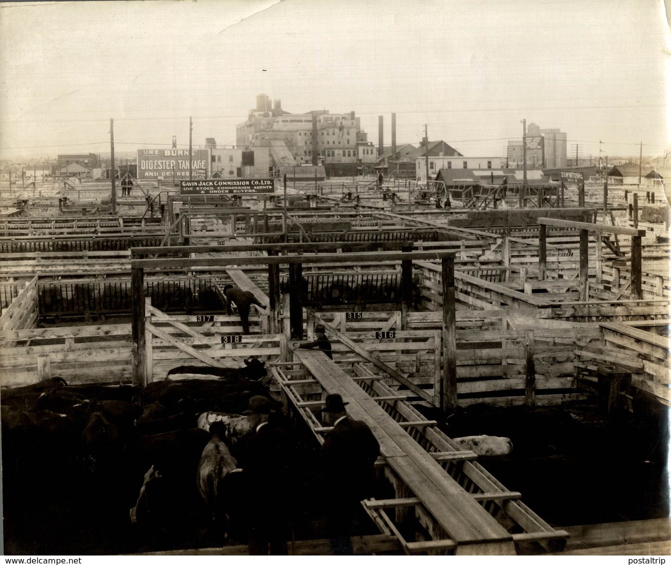 STOCK YARDS CATTLE CNR CANADIAN NATIONAL RAILWAYS  CALGARY  CANADA 25*20CM Fonds Victor FORBIN 1864-1947 - Lugares