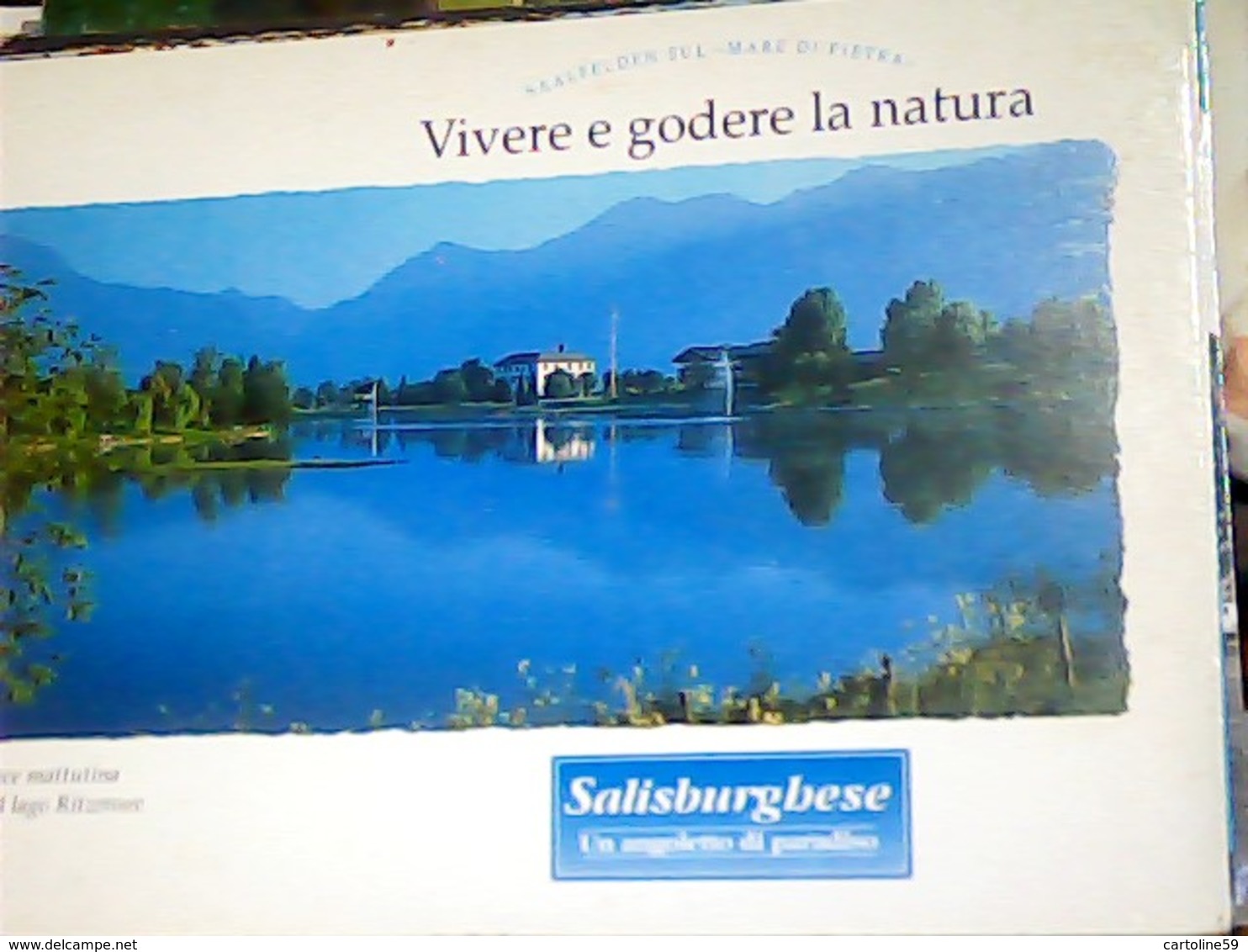AUSTRIA SAALFELDEN Morgendliche Ruhe Am Ritzensee, Salzburger Land Natur Erleben Und Geniessen N1990 HJ3909 - Saalfelden