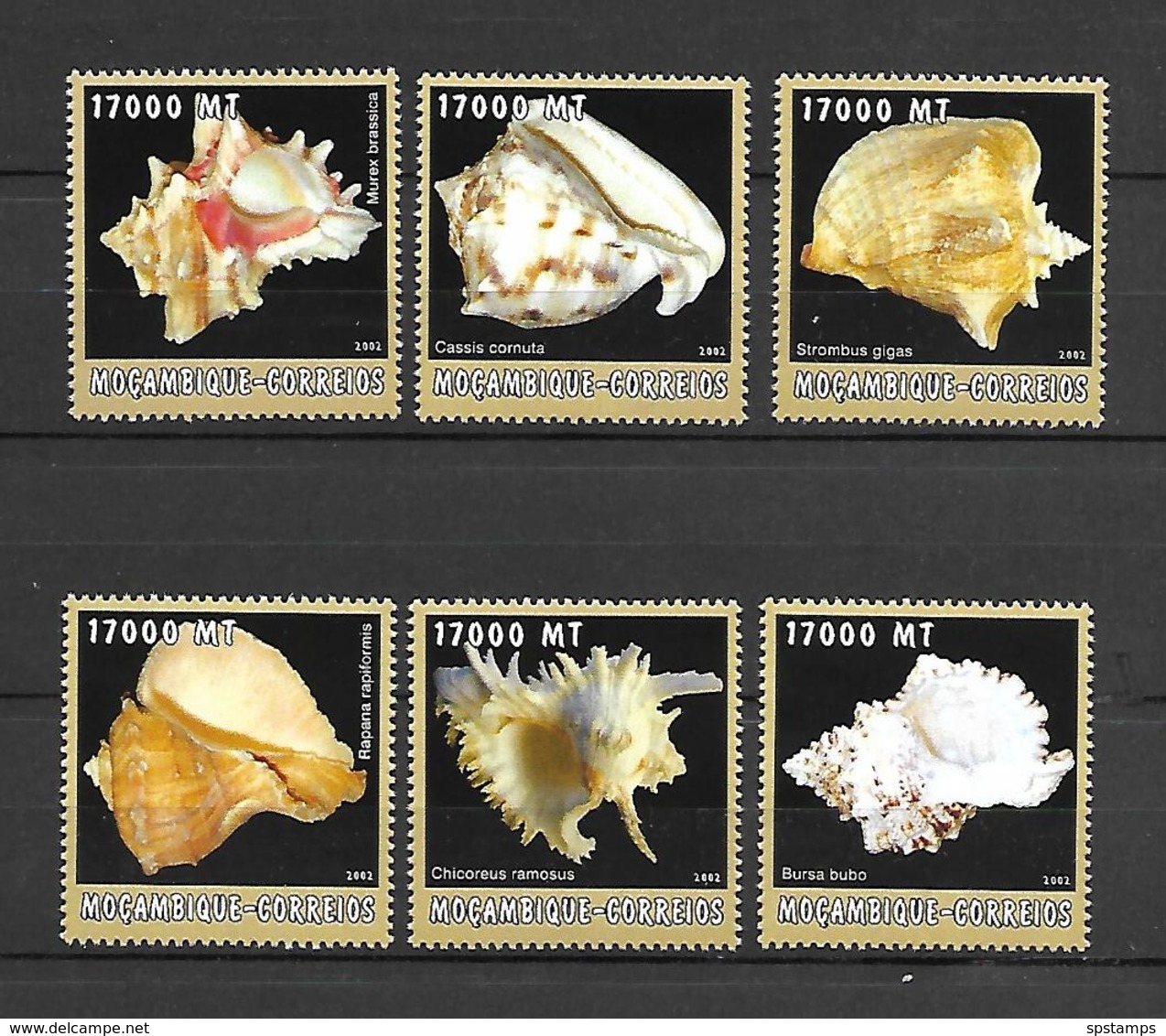 Mozambique 2002 Animals - Marine Life - Shells #1 MNH - Meereswelt