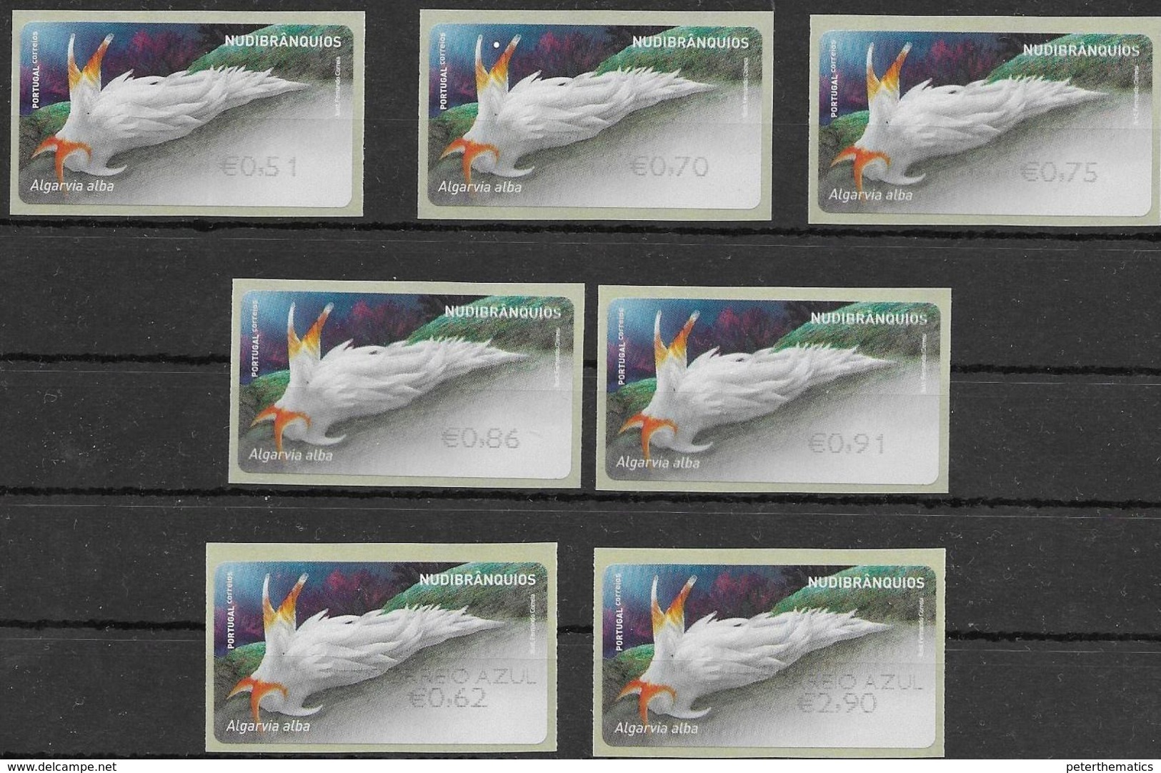 PORTUGAL , 2019, MNH, ATM LABELS, MARINE LIFE, NUDIBRANCHS,  I, 7v - Marine Life