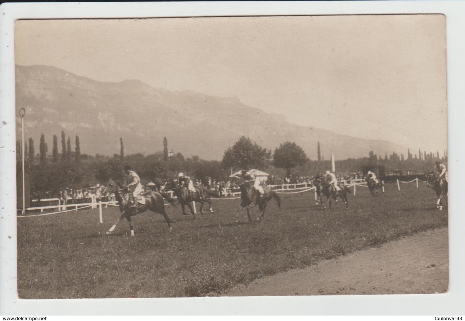 THEME SPORTS - HIPPISME - CARTE PHOTO - COURSE DE CHEVAUX SUR UN HIPPODROME - Hippisme