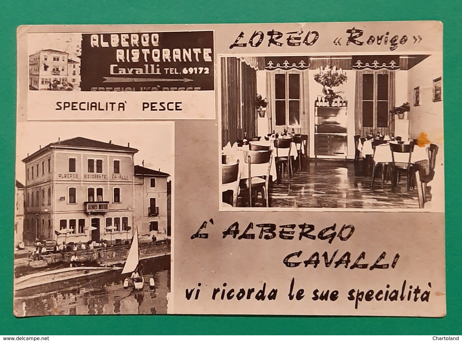 Cartolina L' Albego Cavalli - Loreo - Rovigo - 1972 - Rovigo