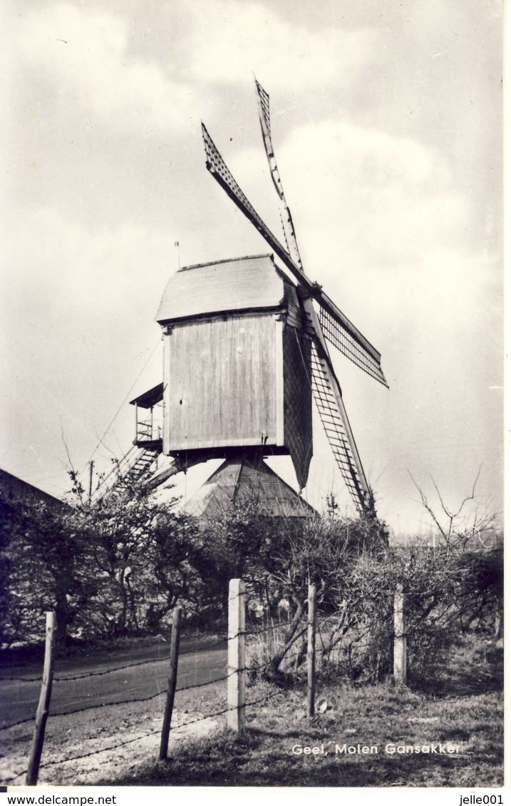 Geel Molen Gansakker - Geel