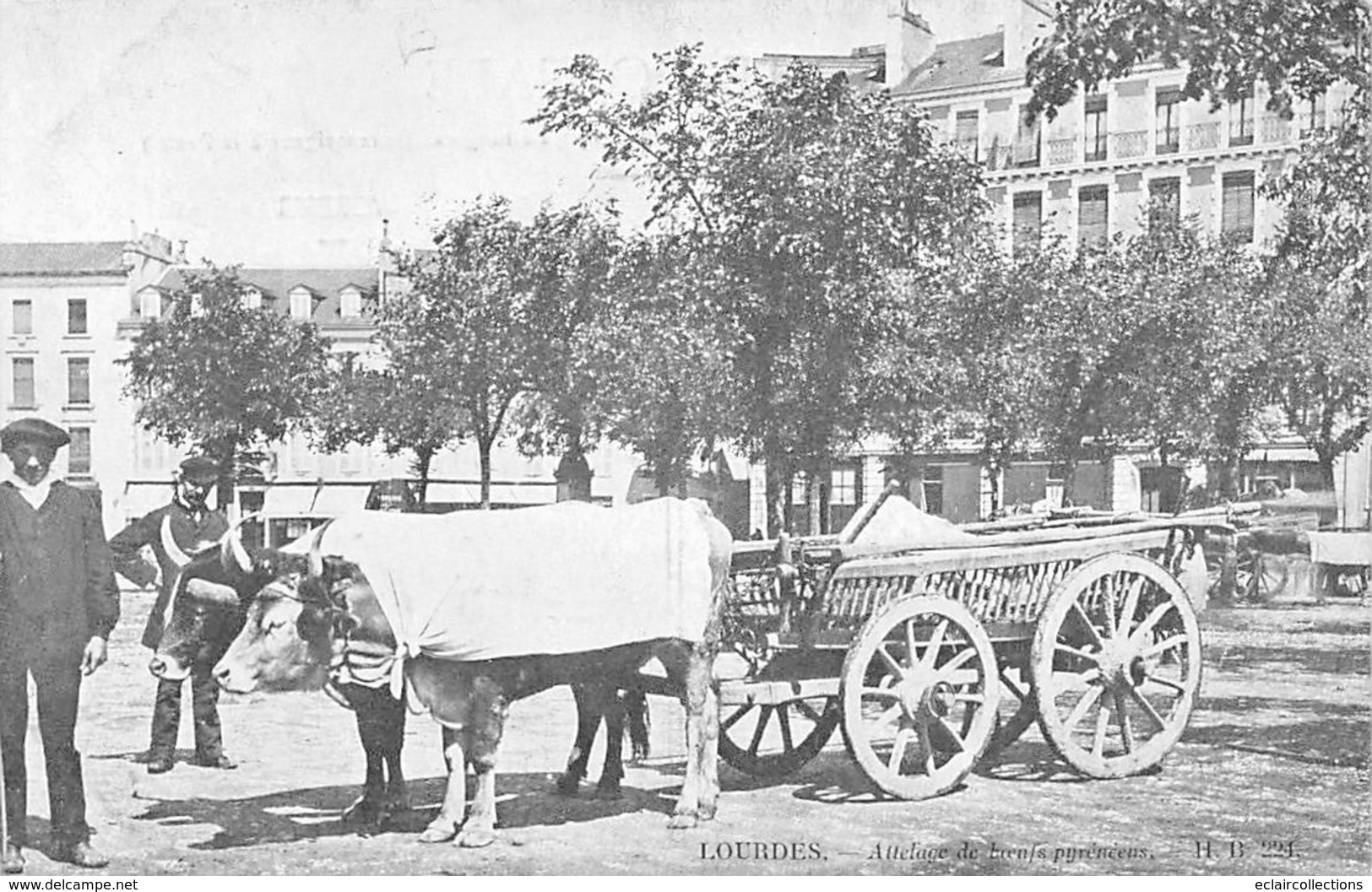 Lourdes        65       Ensemble De 6 Cartes:    Vie Agricole, Vie Aux Champs;Attelage.     (voir Scan) - Lourdes