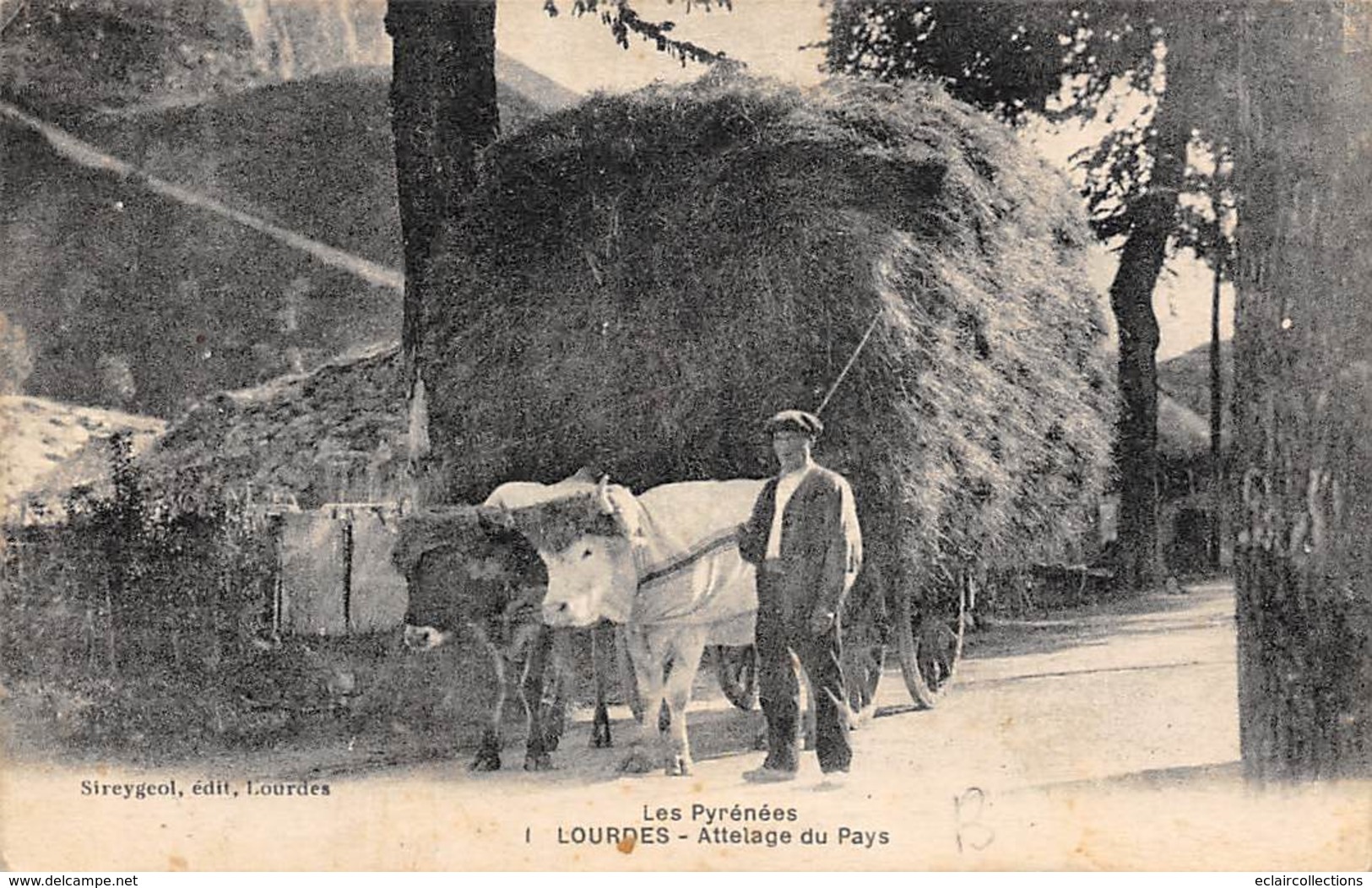 Lourdes        65       Ensemble de 6 cartes:    Vie agricole, vie aux champs;Attelage.     (voir scan)