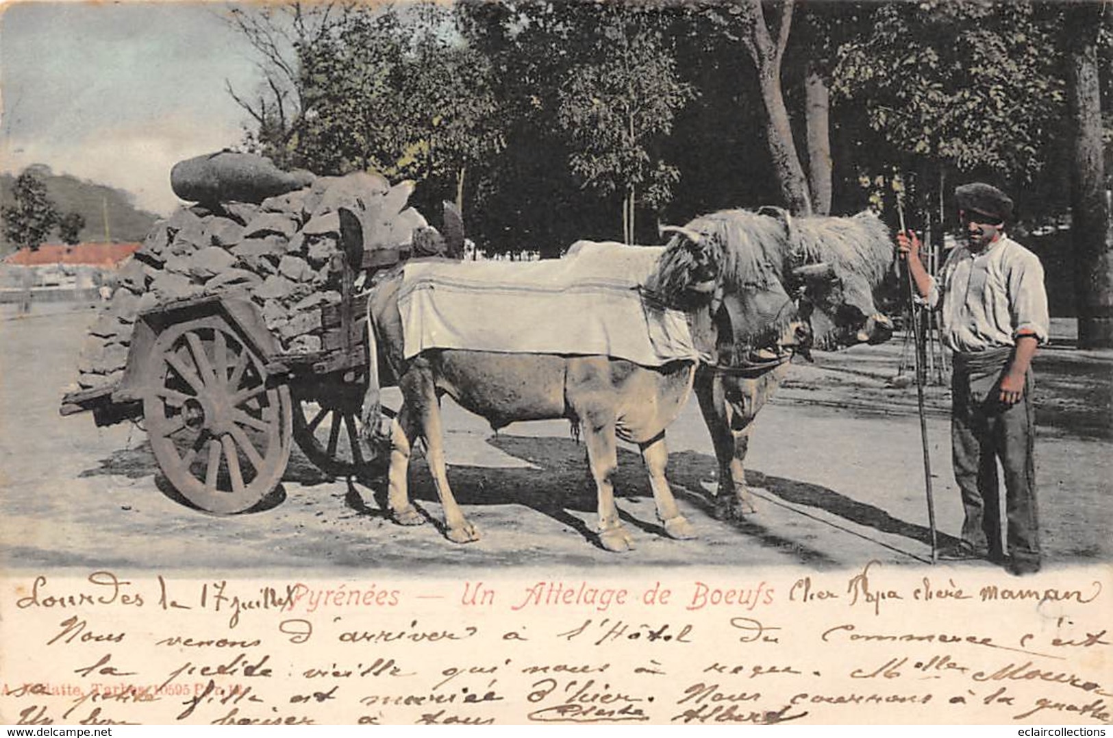 Lourdes        65       Ensemble de 6 cartes:    Vie agricole, vie aux champs;Attelage.     (voir scan)