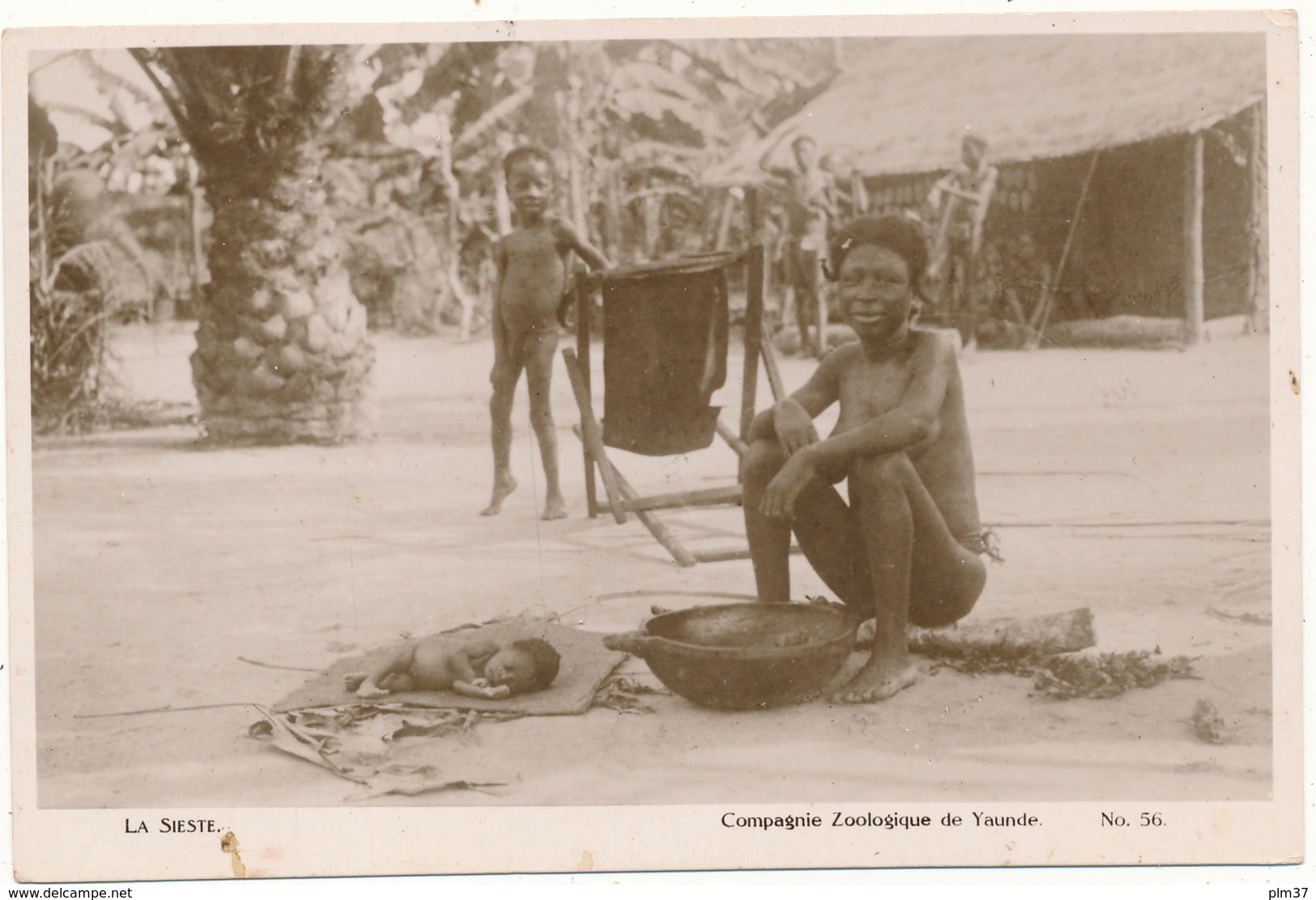 CAMEROUN - Compagnie Zoologique De Yaoundé, La Sieste - Cameroun