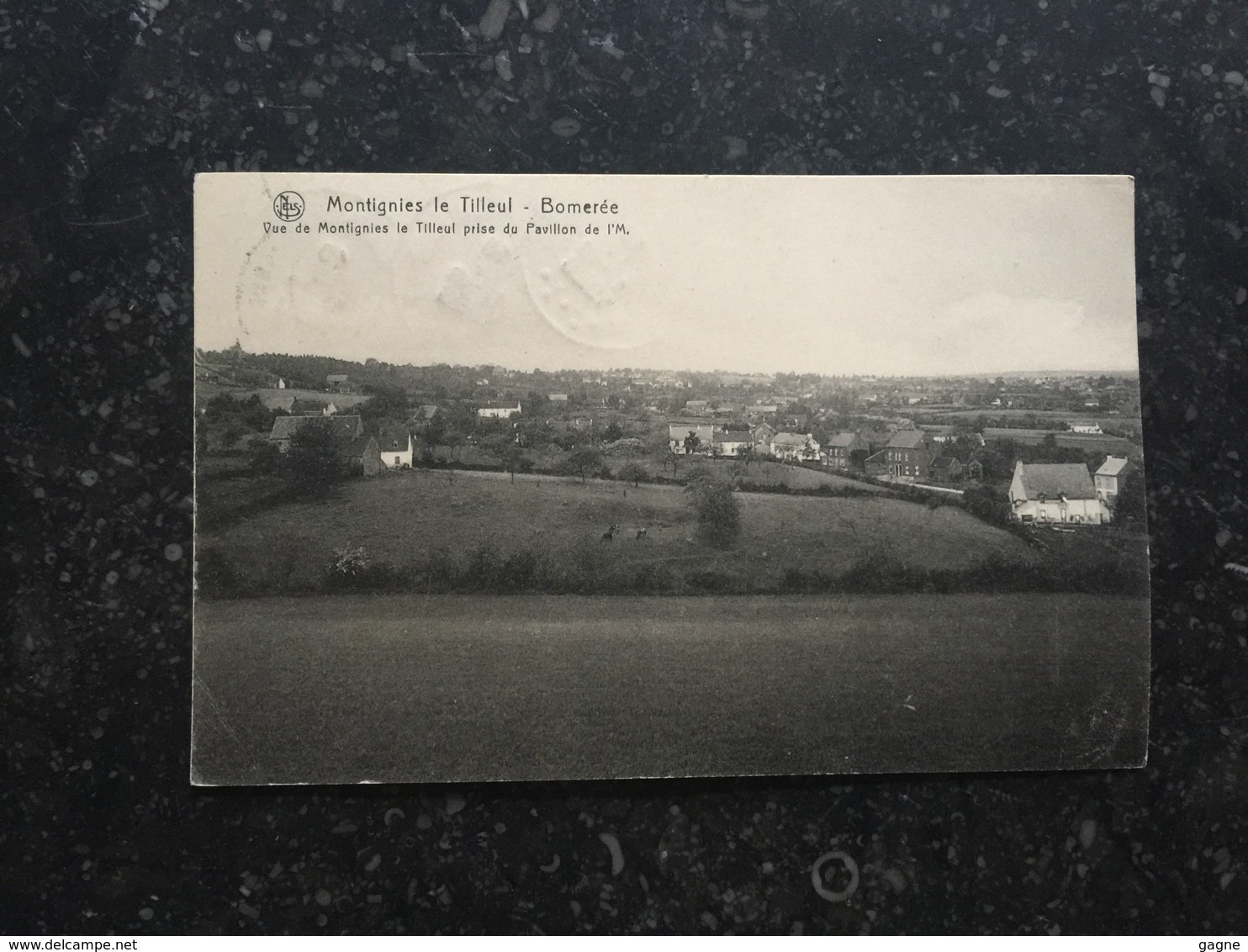 20B _ Montignies Le Tilleul Bomerée - Montigny-le-Tilleul