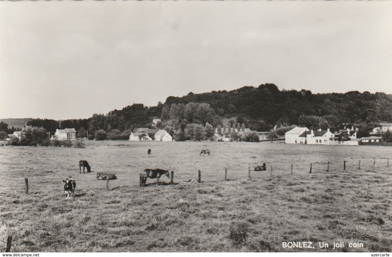 BONLEZ ; Un Joli Coin ,( Chaumont - Gistoux ) Vache , Cheval - Chaumont-Gistoux