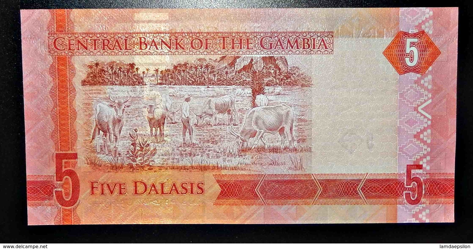 A1 BILLETS DU MONDE WORLD BANKNOTES GAMBIA 5 DALASIS - Other & Unclassified