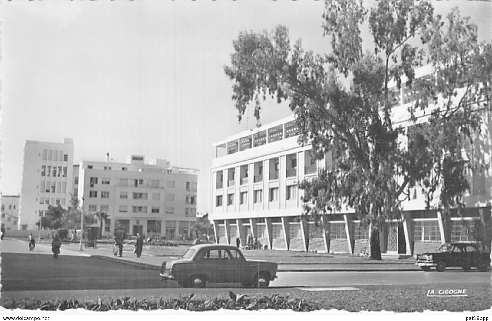 MAROC Morocco - PORT LYAUTEY ( KENITRA ) Place Albert 1er - Jolie CPSM Dentelée N/B Format CPA - Afrique Maghreb - Otros & Sin Clasificación