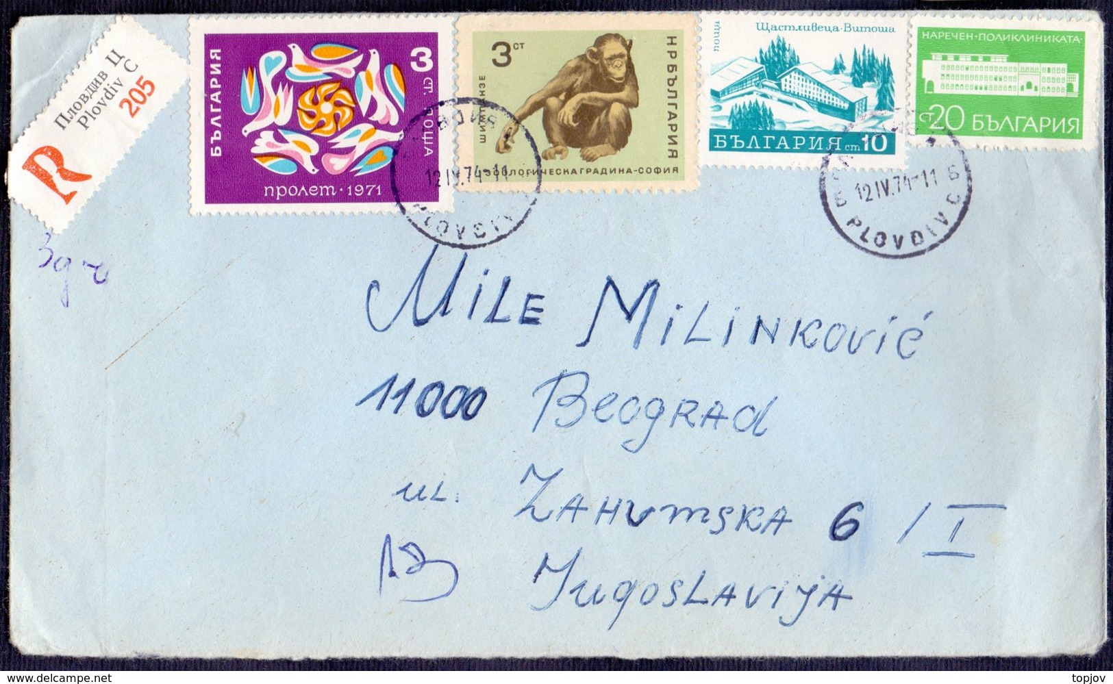 BULGARIA - ZOO  SOFIA - 1974 - Chimpanzés