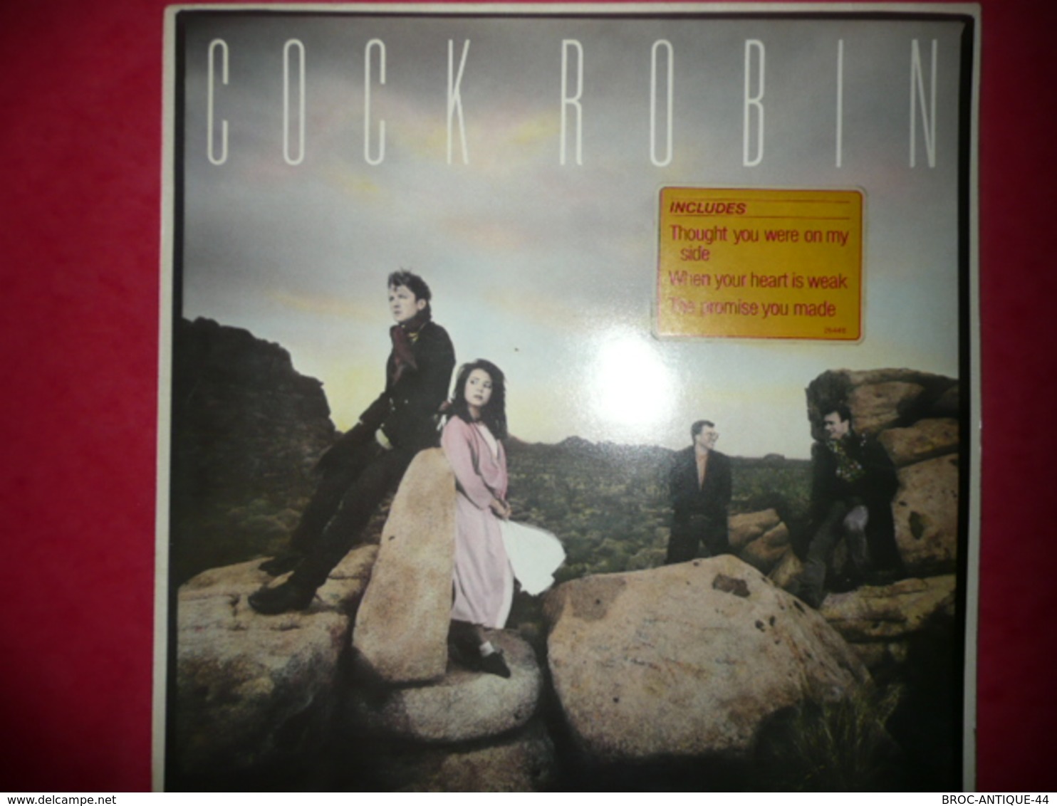 LP33 N°1365 - COCK ROBIN - COMPILATION 9 TITRES ELECTRO SYNTHE POP - Disco, Pop