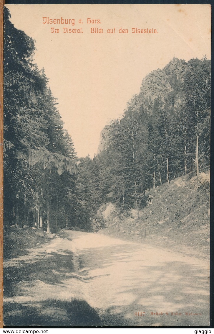 °°° 17318 - GERMANY - ILSENBURG A. HARZ , IM JISETAL - BLICK AUF DEN JISESTEIN °°° - Ilsenburg