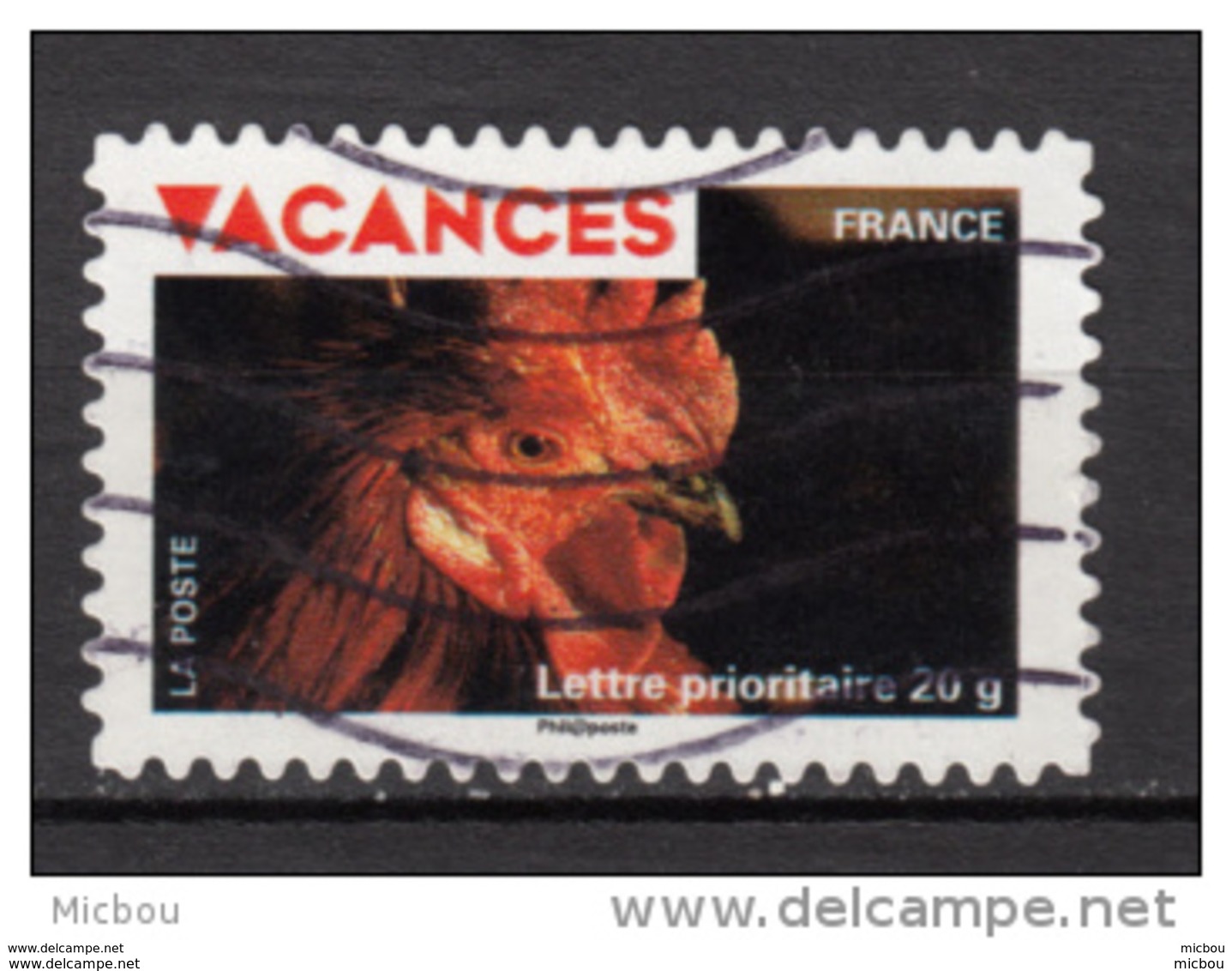 France, Vacances, Coq, Rooster, Oiseau, Bird - Galline & Gallinaceo