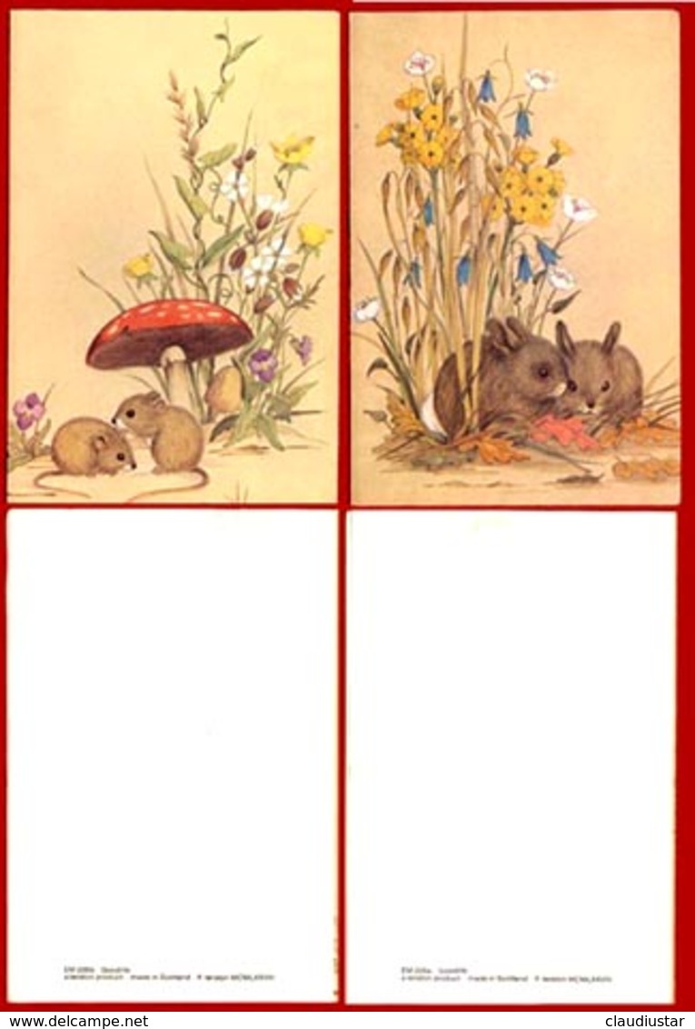 ** LOT  2  CARTES  SOURIS ** - Altri & Non Classificati