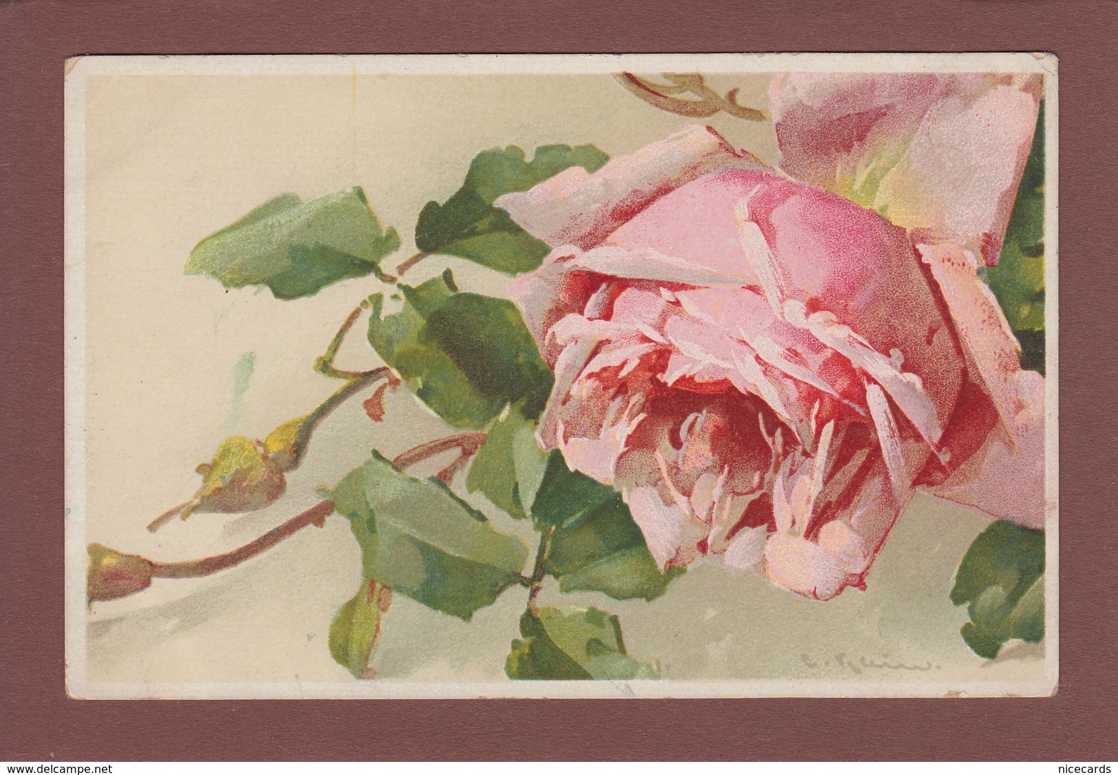 Catharina KLEIN - Signé - Fleurs - Rose - Klein, Catharina