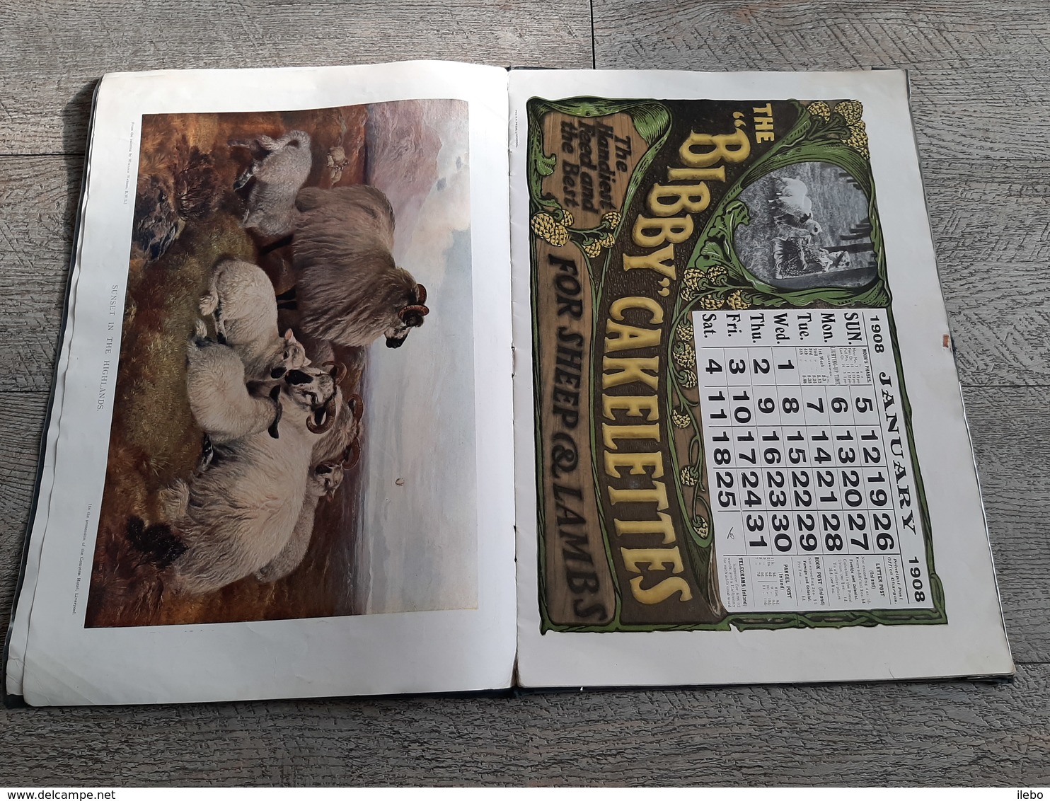 Calendrier 1908 Bibby And Sons Liverpool Calendar Farm Ferme Animals Animaux - Big : 1901-20