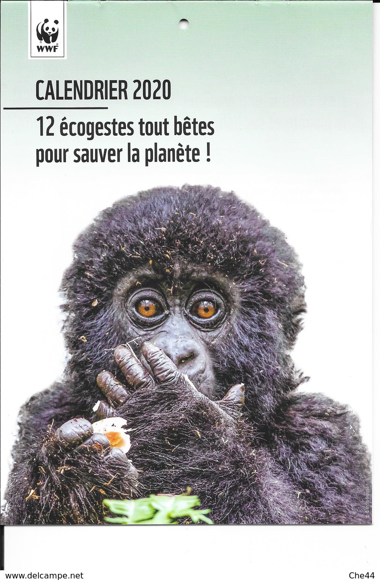 Calendrier 2020 De WWF. (Voir Commentaires) - Storia Postale