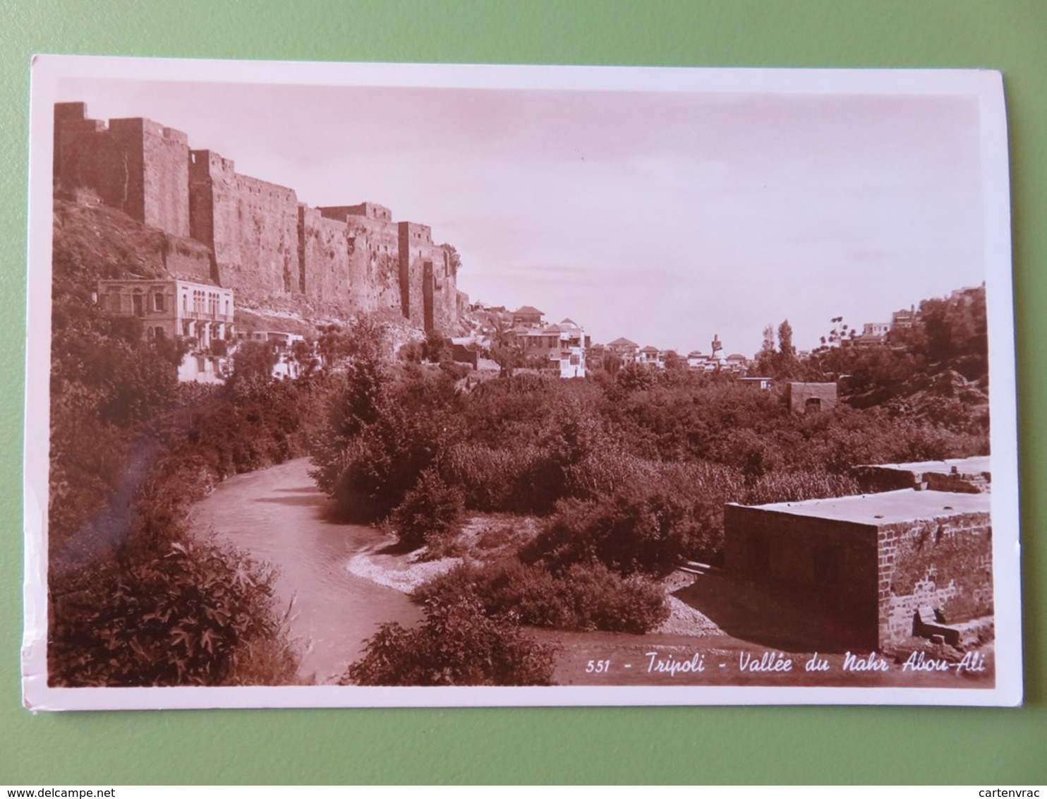 Liban - Carte Postale - Tripoli - Vallée Du Nahr Abou-Ali - Photo Rue Weygand - Beyrouth - Libanon