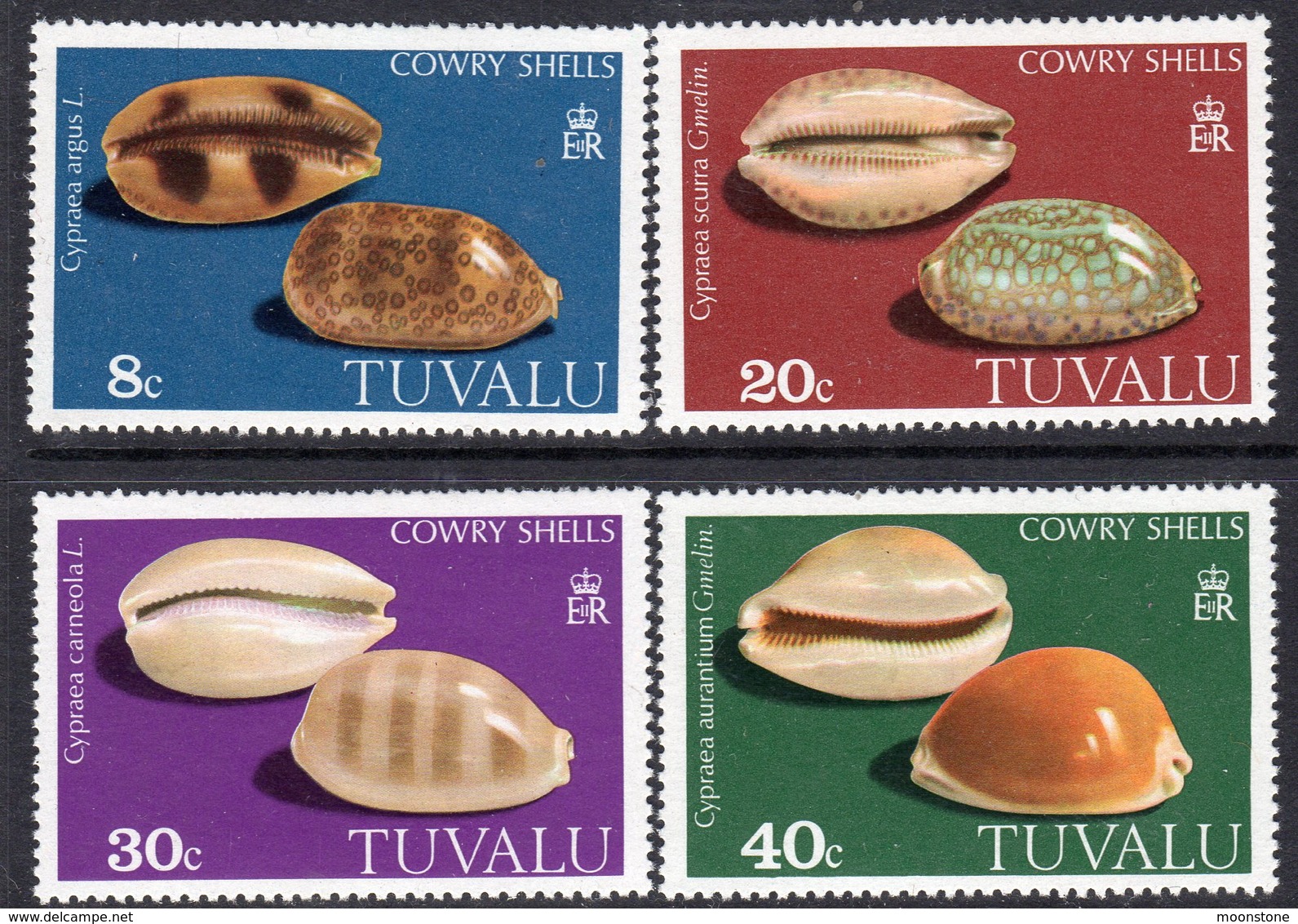 Tuvalu 1980 Cowrie Shells Set Of 4, MNH, SG 139/42 (BP2) - Tuvalu