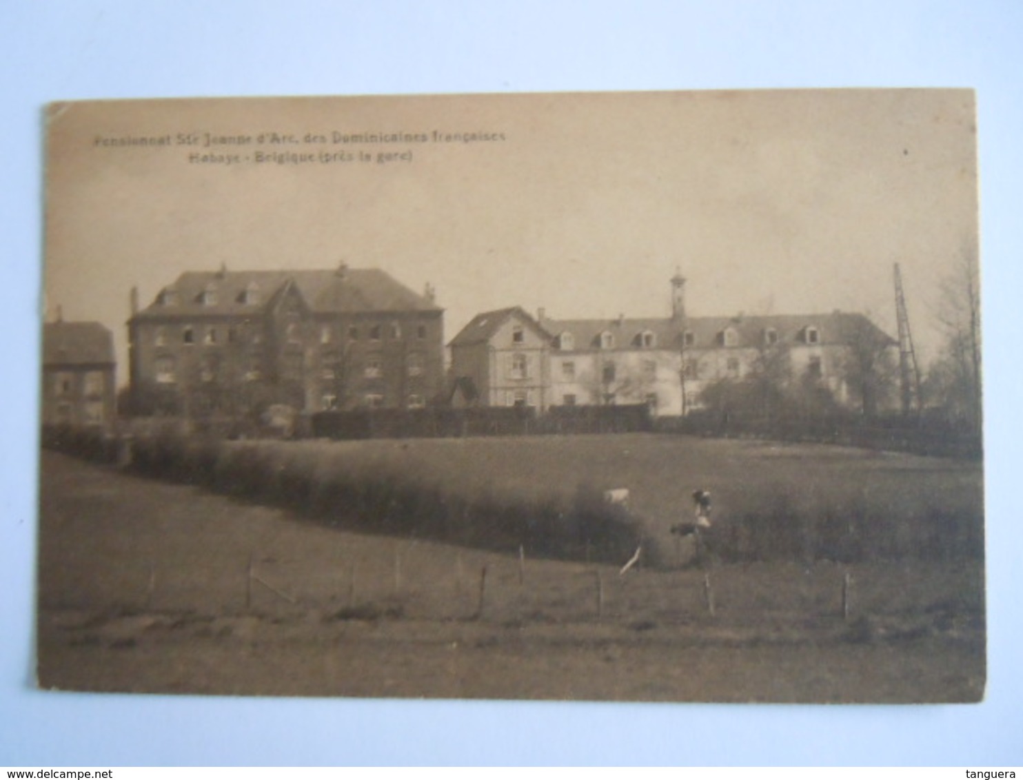 Habaye Belgique (près La Gare) Pensionnat Ste Jeanne D'Arc, Des Dominicaines Françaises Edit Phobel - Habay