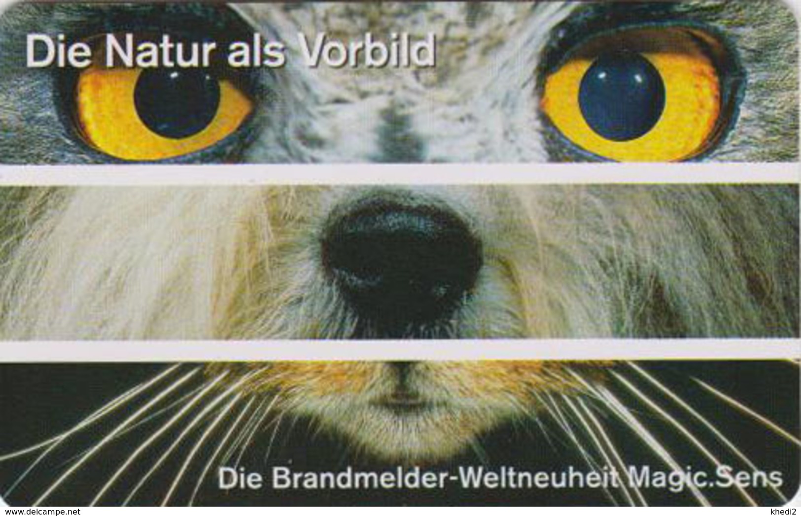 Télécarte NEUVE Allemagne - Animal - OISEAU - HIBOU LION & Autre - OWL BIRD - ANIMAL MINT Phonecard - EULE - 4535 - Búhos, Lechuza