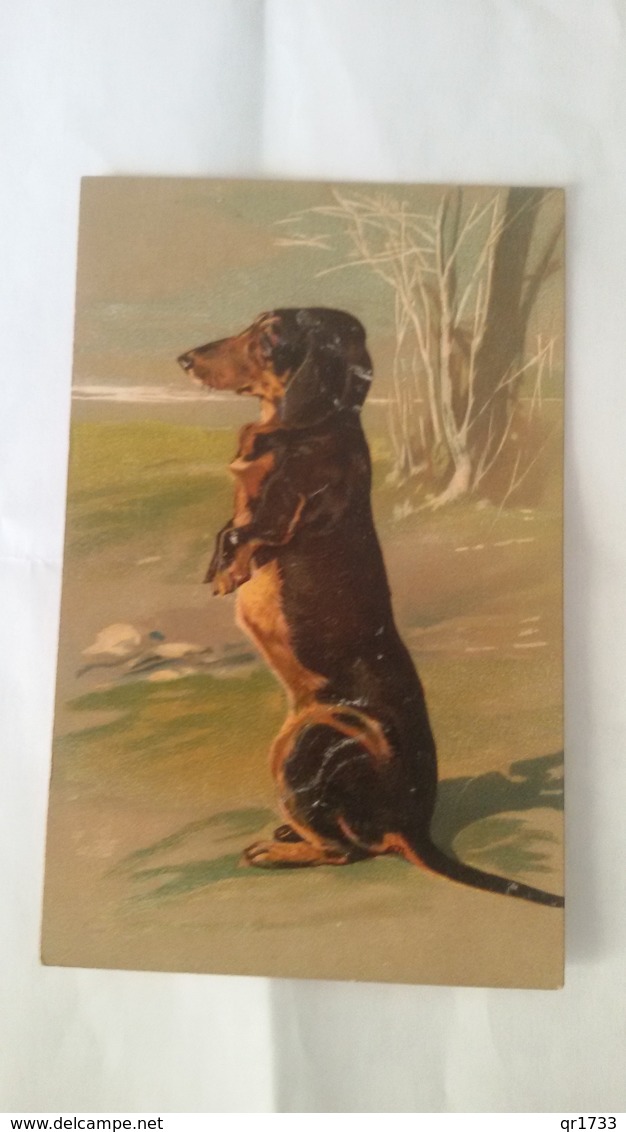 CPA Postcard   TECKEL ..chien .. Annimal .. Carte  Gauffrée - Hunde